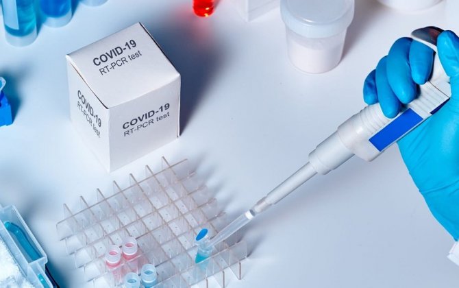 Индия испытывает три вакцины против коронавируса