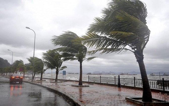 Тайфун «Хигос» обрушился на южное побережье Китая