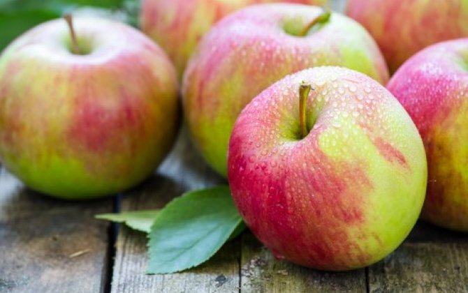 Диетологи рассказали кому противопоказано кушать яблоки