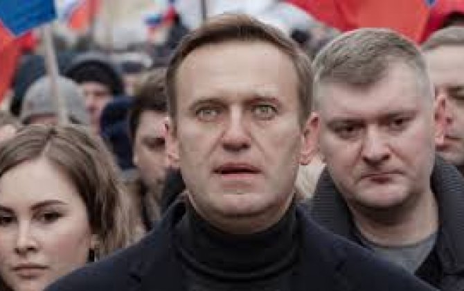 Франция и Германия предлагают Алексею Навальному убежище и медицинскую помощь