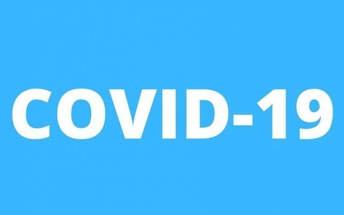 Число больных COVID-19, подключенных к аппаратам ИВЛ в Азербайджане, осталось неизменным