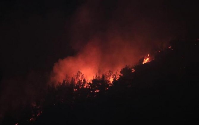 В турецкой провинции Адана вспыхнул лесной пожар