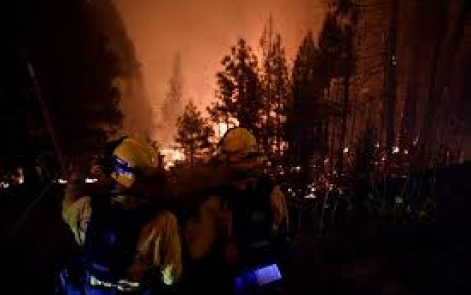 Не менее 28 человек стали жертвами природных пожаров в США