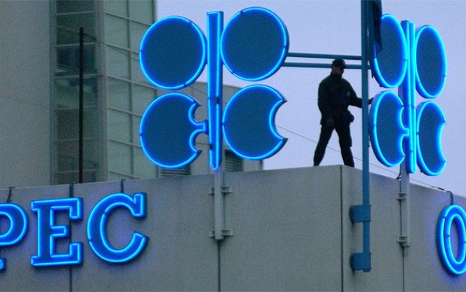 В ОПЕК предрекли падение нефтедобычи в Азербайджане
