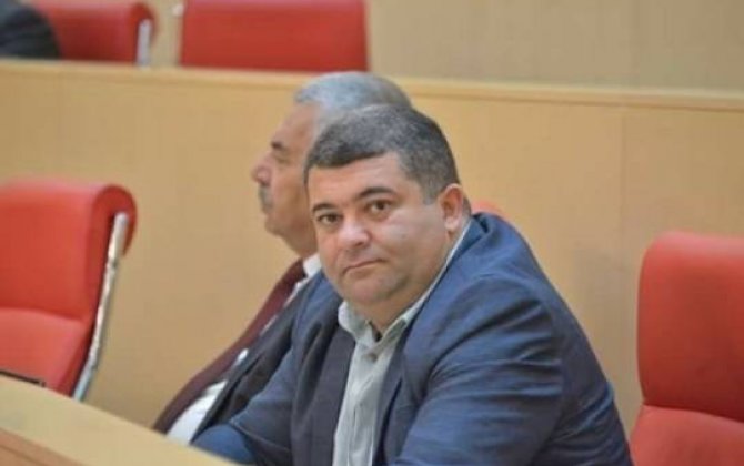 Gürcüstan parlamentinin deputatı:  “Azərbaycan Ordusu uğurlu hərbi əməliyyatlar keçirir”