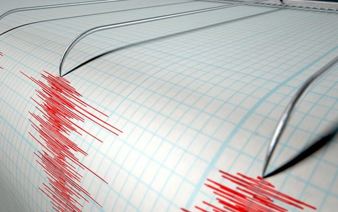 Землетрясение магнитудой 5,9 произошло у берегов Новой Зеландии