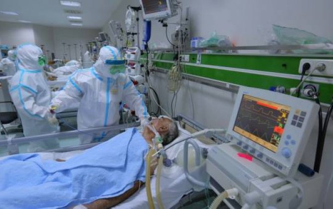 Azərbaycanda koronavirusa yoluxma üzrə ölüm faizi açıqlandı