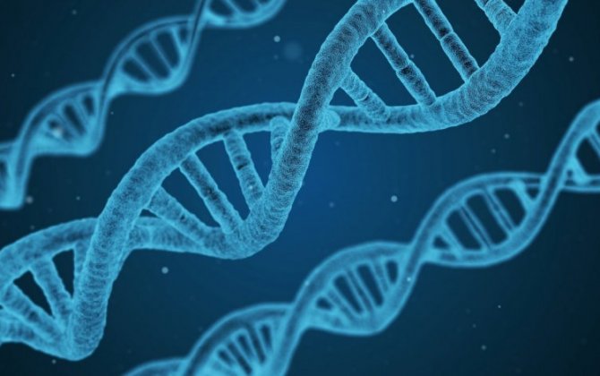 Ученые обнаружили ген, удваивающий риск тяжелого течения COVID-19