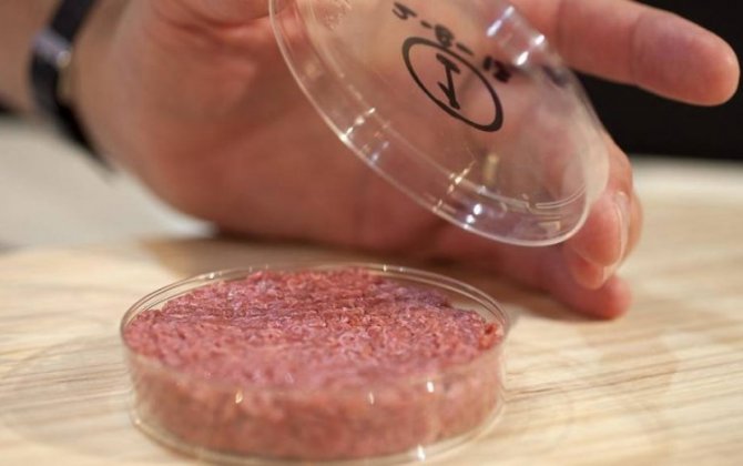 Стартап из США получил финансирование для создания мяса из микробов
