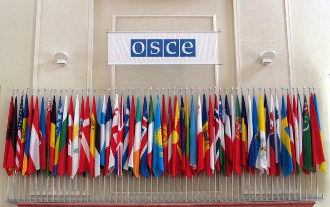 Швеция огласила приоритеты председательства в ОБСЕ в этом году