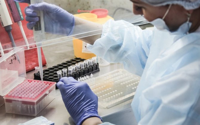 В Дании выявили 283 случая заражения «британским» штаммом коронавируса