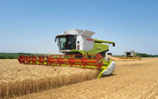 В Агдаме пшеницей засеяно свыше 1 600 гектаров освобожденных земель