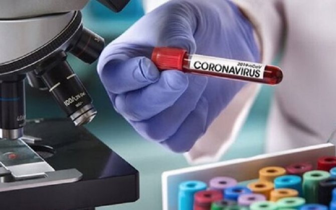 В Азербайджане за сутки провели свыше 7 079 тестов на COVID-19
