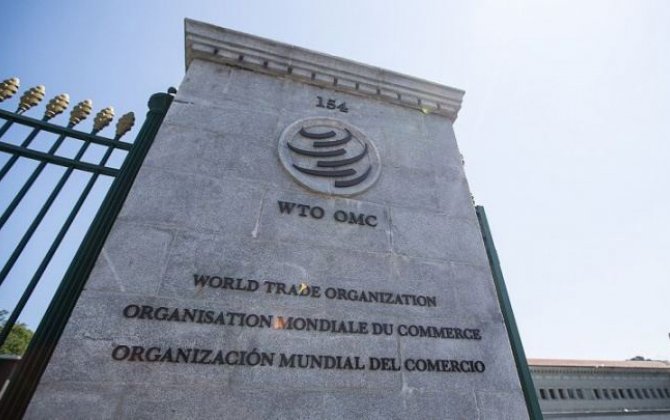 Генеральный совет ВТО рассмотрит 15 февраля вопрос о назначении нового гендиректора