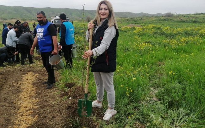 Külündən doğulan torpaq – Cəbrayıl və Qubadlıdan QEYDLƏR + FOTO