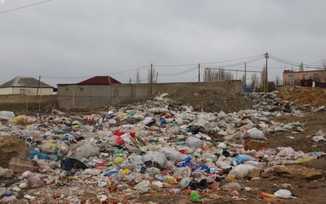 Ekologiyaya ziyan vuran 17 nəfər barədə inzibati tənbeh tədbirləri görülüb