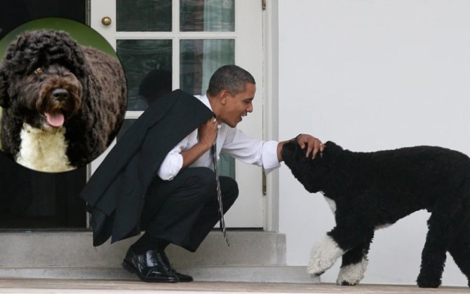 Barak Obama 12 illik dostunu itirdi - FOTO