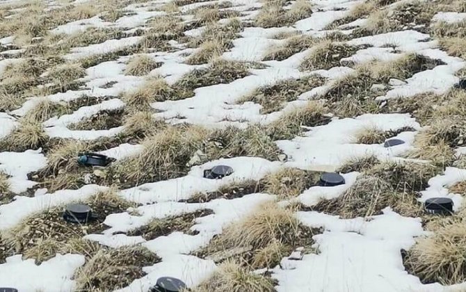 “İşğaldan azad edilən ərazilərin minalardan təmizlənməsi aktual məsələ olaraq qalır”