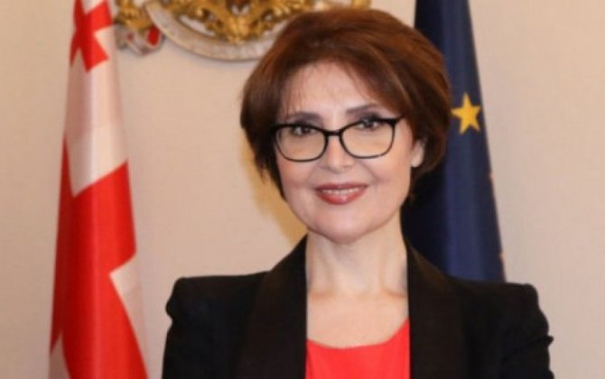 Глава комитета парламента Грузии: Инцидент в Дманиси произошел не на этнической почве