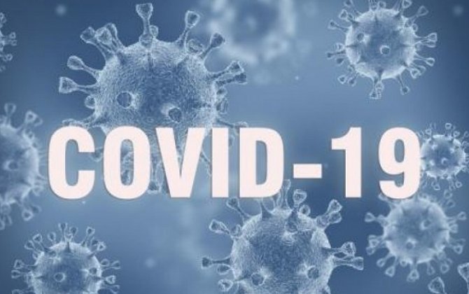 В мире за сутки выявили более 500 тысяч случаев COVID-19