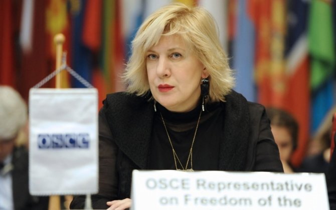 Дунья Миятович призвала очистить освобожденные территории Азербайджана от мин