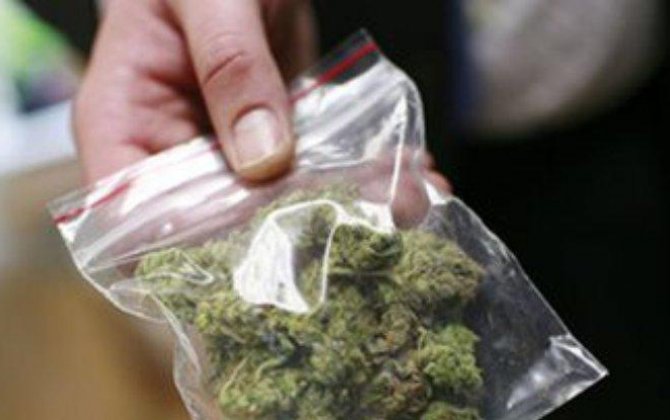 Полиция Эквадора изъяла тонну марихуаны на севере страны