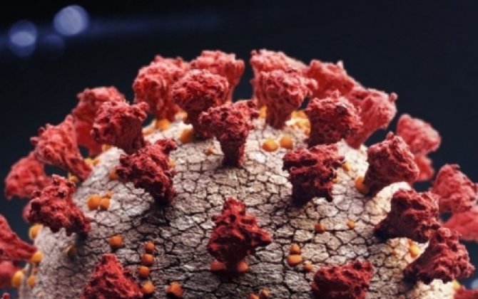 Dünyanın 29 ölkəsində koronavirusun yeni ştamı aşkarlanıb - ÜST