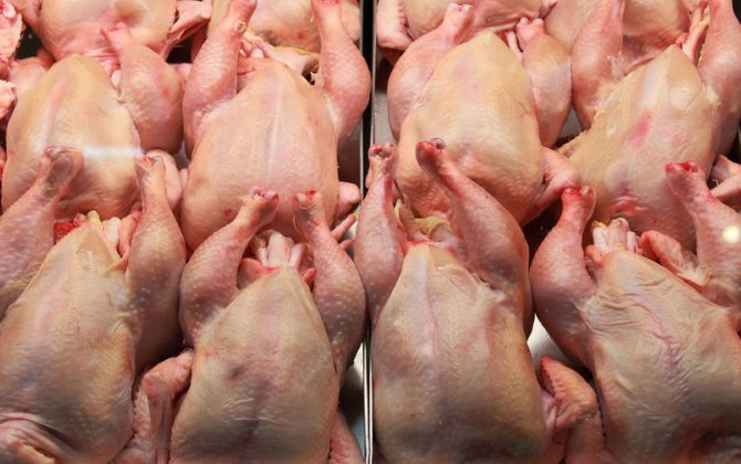 Азербайджан ограничил поставки мяса птицы в страну