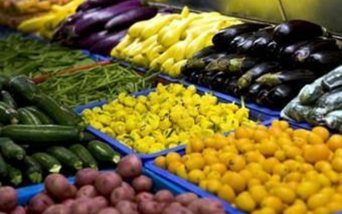 Экспорт сельхозпродукции из Ирана вырос на 20 процентов по весу