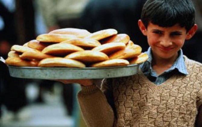 МТСЗН: В Азербайджане заключены трудовые договоры с 143 лицами, не достигшими 16 лет