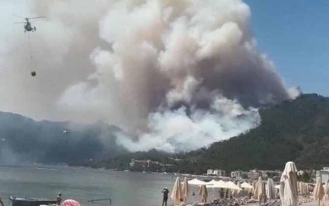 В Турции потушили крупный лесной пожар