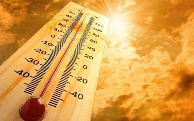Аномальная жара в Канаде привела к гибели около 30 человек