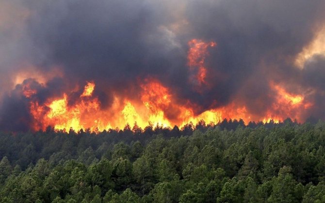 Число лесных пожаров на западе Канады возросло до 180