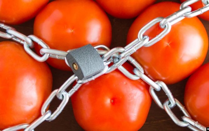 Ərdoğanın Krımla bağlı açıqlamasından sonra Türkiyə pomidorlarında virus 