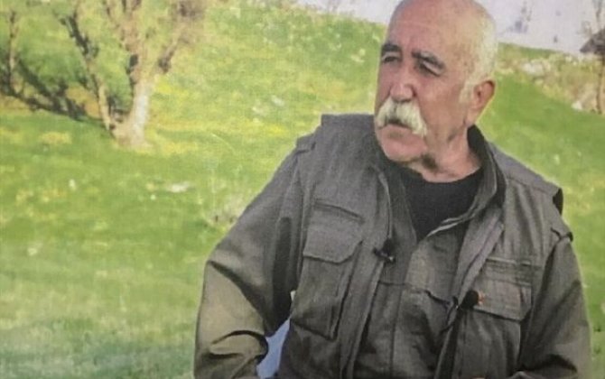Türkiyə Silahlı Qüvvələri PKK-nın qurucularından birini məhv etdi