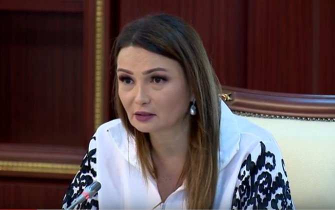 Qənirə Paşayeva Milli Məclisdə görmə imkanı məhdud gənclərlə bağlı önəmli təkliflərlə çıxış edib - VİDEO