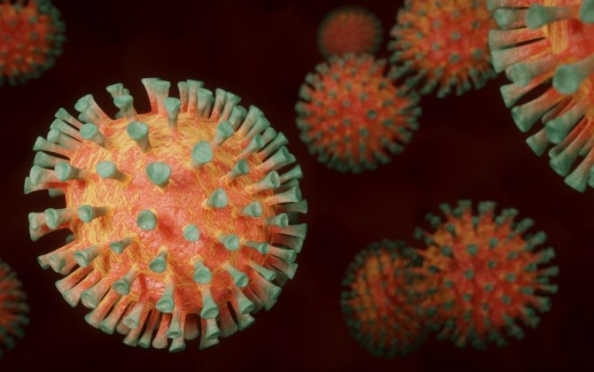 Вирусолог рассказал о новом штамме коронавирусной инфекции «омикрон»