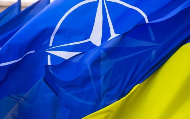 В Киеве пройдут учения НАТО по кибербезопасности