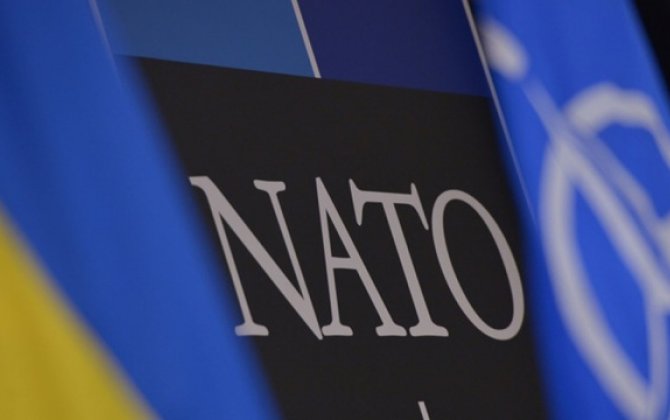 Белый дом подтвердил право Украины на вступление в НАТО