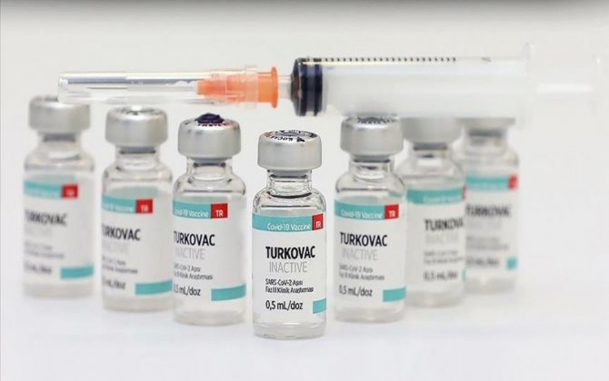 Начато массовое производство вакцины «TURKOVAC»