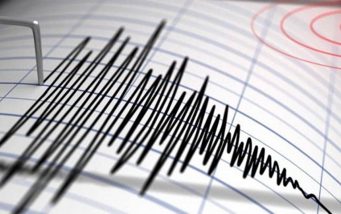 У берегов Тонга произошло землетрясение магнитудой 6