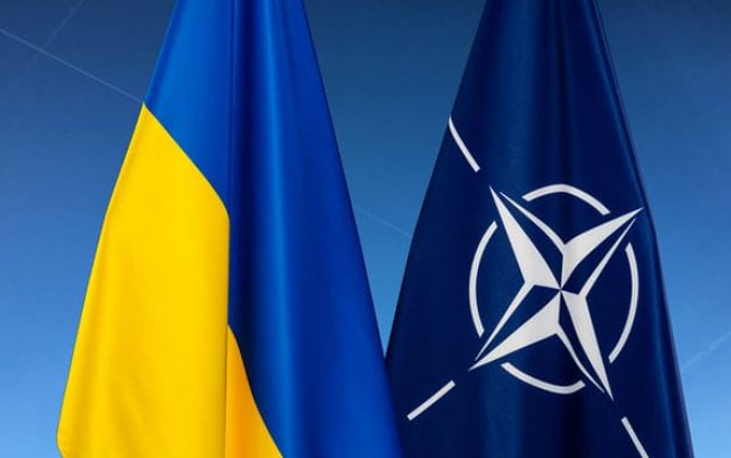 Франция, Польша и Германия поддержали расширение НАТО в плане помощи Украине