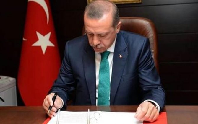 Эрдоган назначил нового министра сельского и лесного хозяйства