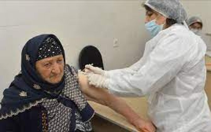 Обнародовано число вакцинированных в Азербайджане –(фото)