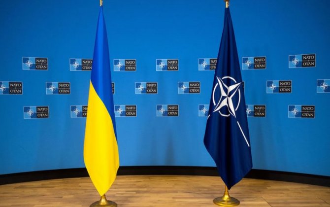 Официальный Киев: Мы не будем бороться за заявку на вступление в НАТО