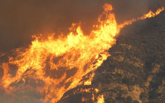 Президент Южной Кореи объявил два города особыми зонами бедствия из-за лесных пожаров
