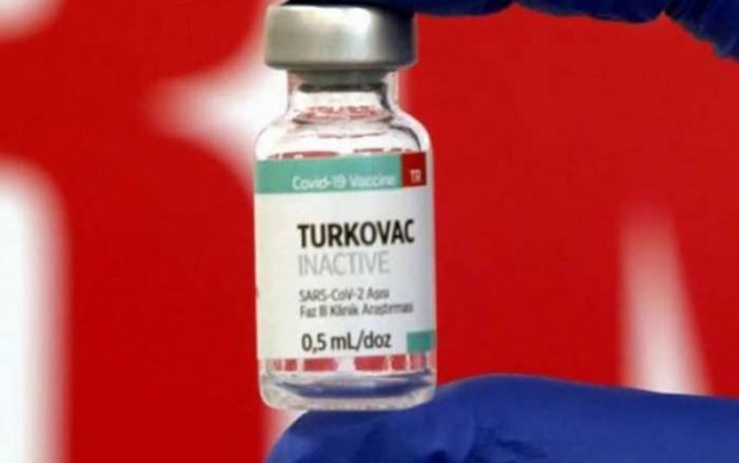 В Азербайджане начинаются клинические испытания турецкой вакцины TURKOVAC