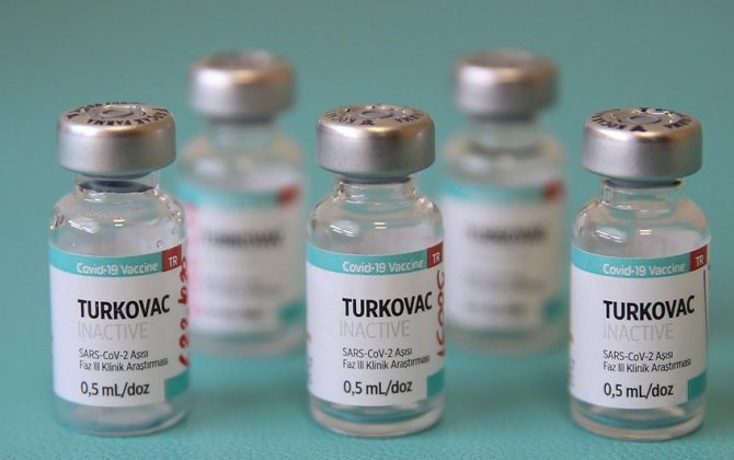 В Азербайджан ввезены 1200 доз вакцины TURKOVAC