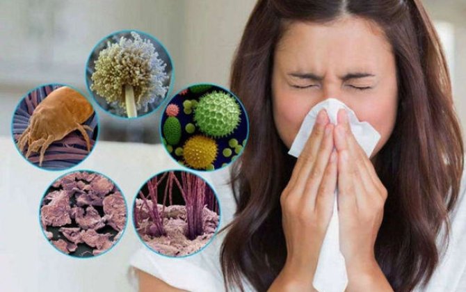 Mövsümi allergiyalardan necə qorunaq -