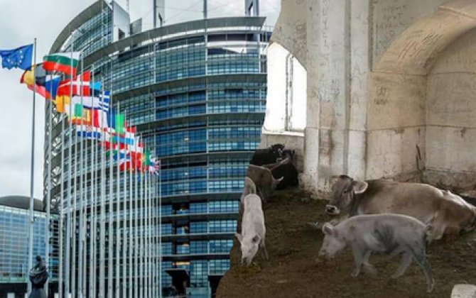 Avropa Parlamentindən məscidi donuz tövləsinə çevirənlərə dəstək - Həyasızlığın son həddi